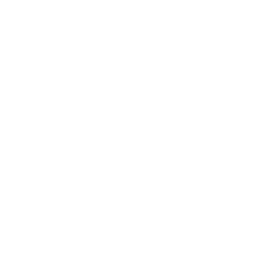 Dr Jane Ansah