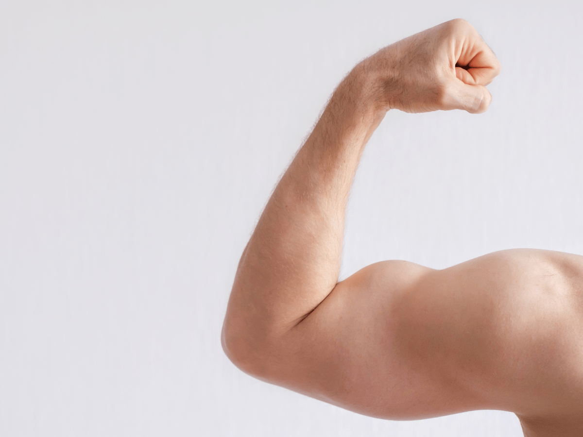 Testosterone Therapy Improve Muscle
