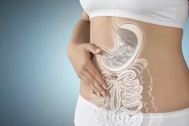 Inflammatory Bowel Disease