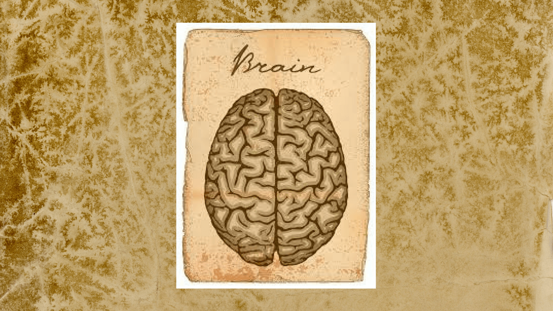 Dr. berkson explains 7 ways to really protect your brain from aging