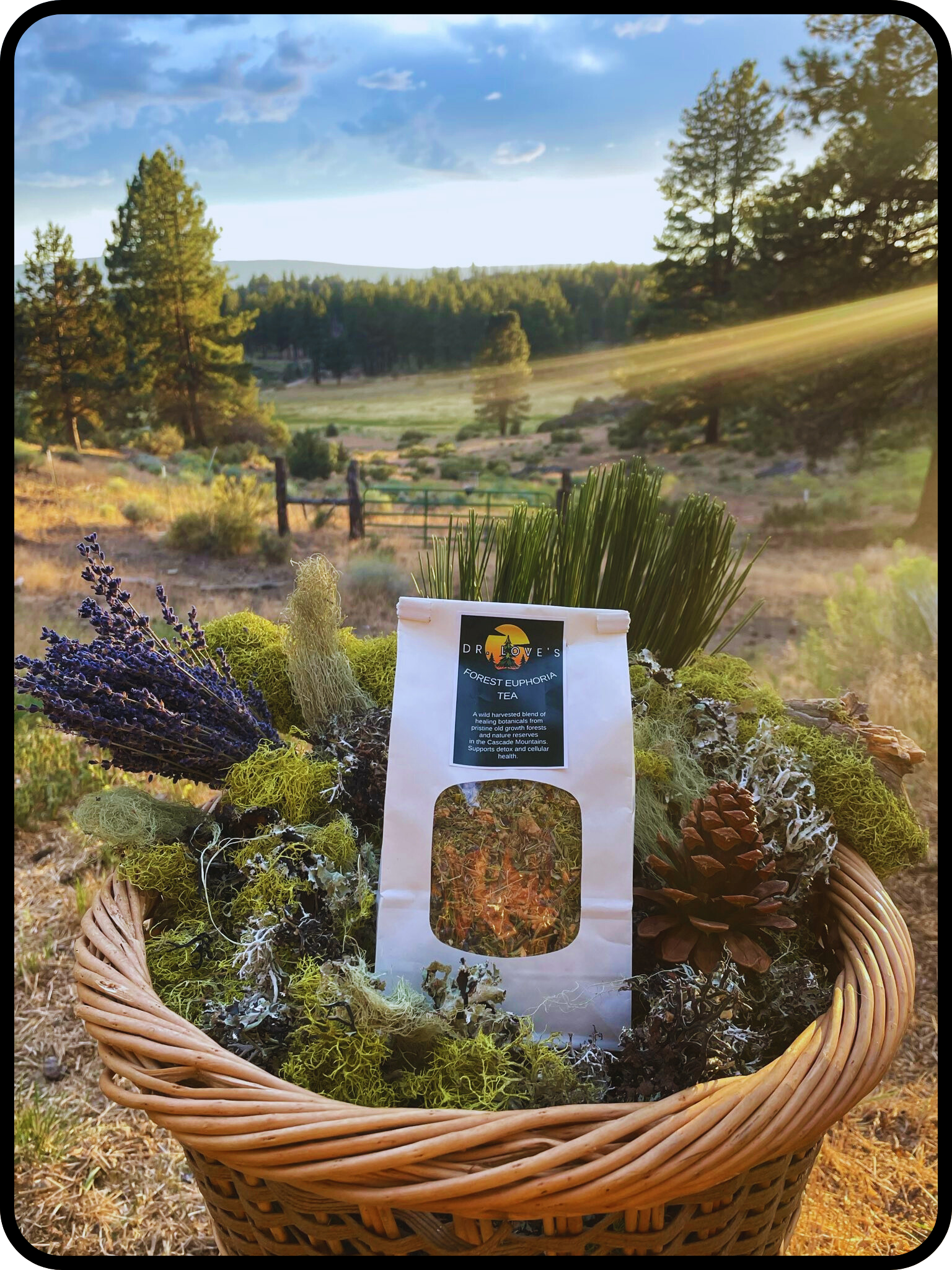 Forest Euphoria Tea (5 oz)