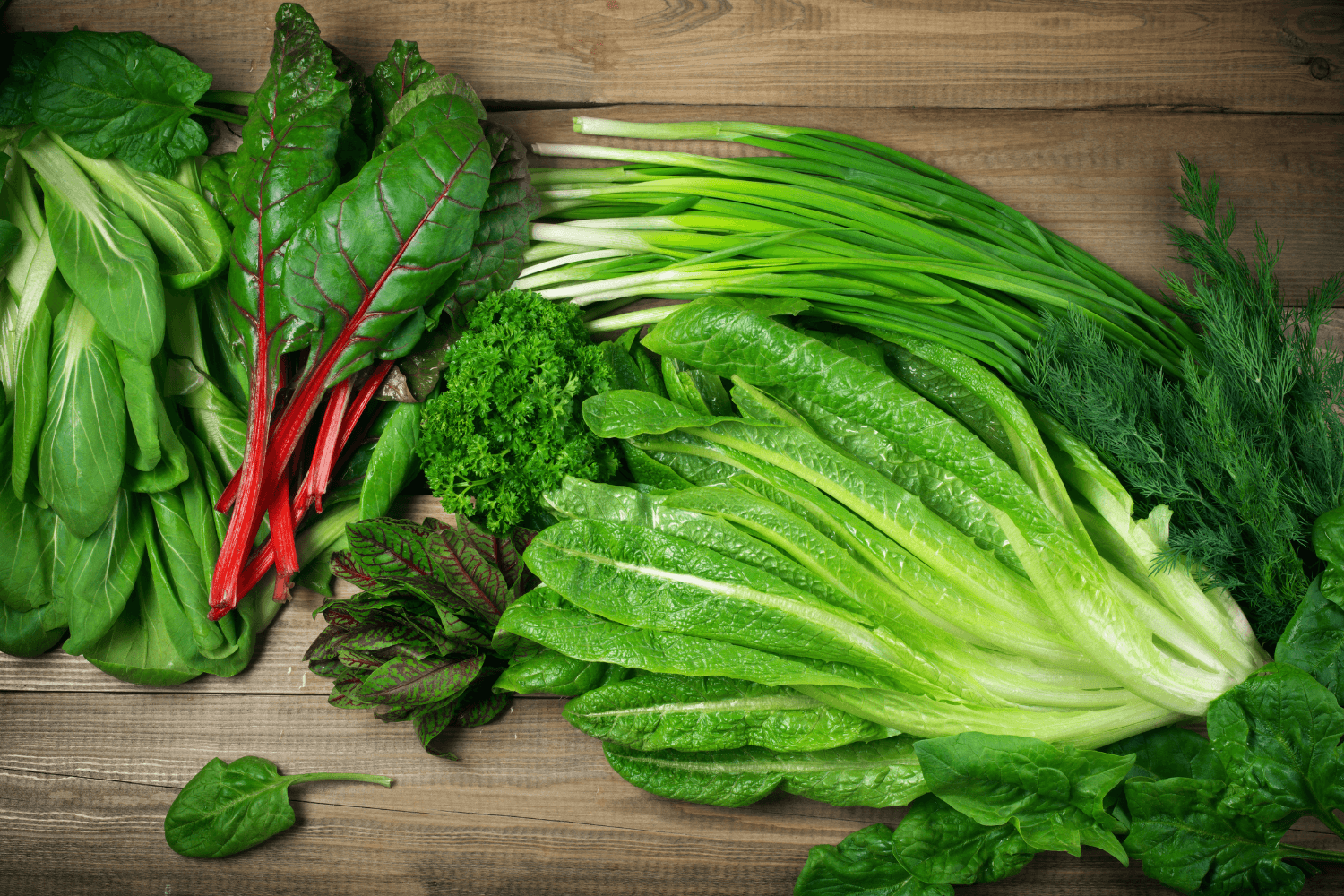 verduras de hoja