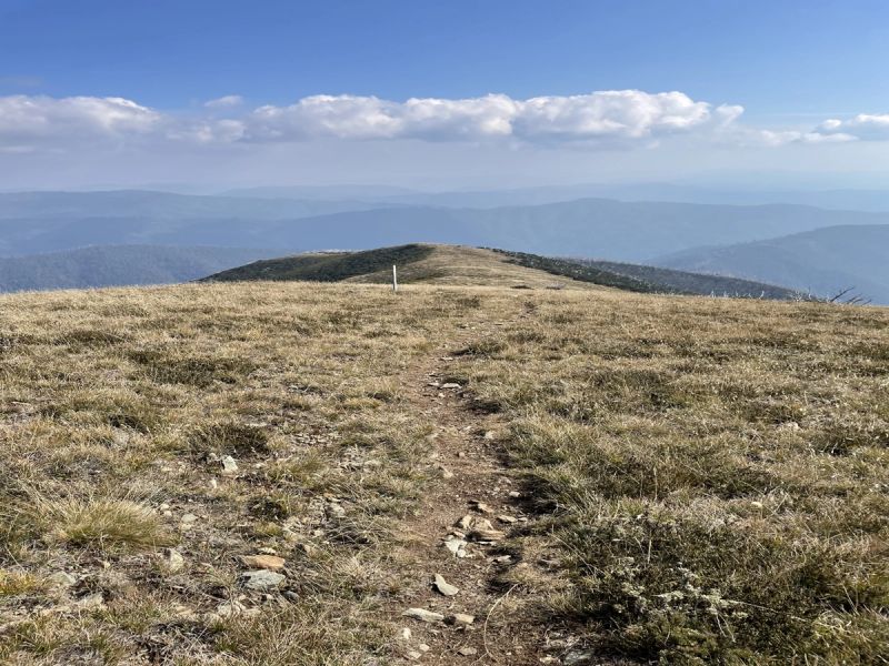 Pacemaker Dr Mark Perrin - City Photos - Premium Retina Collection