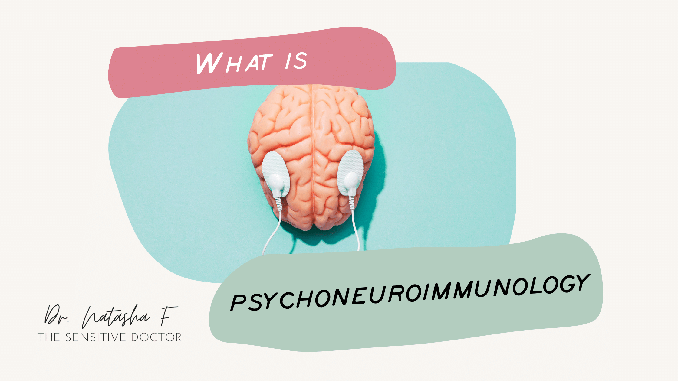 Psychoneuroimmunology