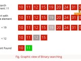 Introduction To Searching Algorithms Linear Search Binary Search