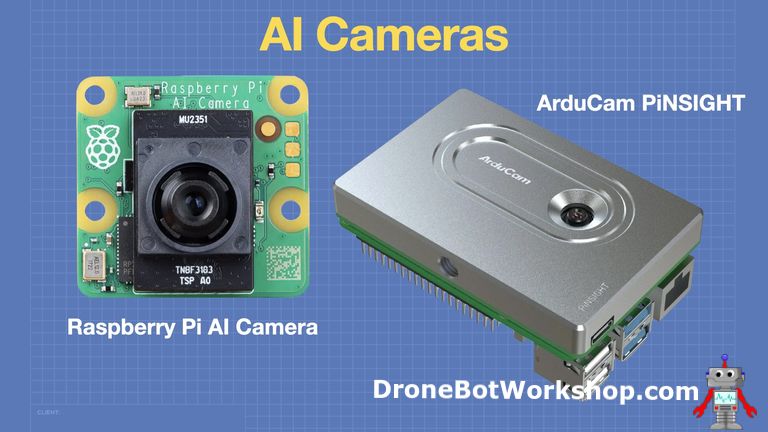 Two Raspberry Pi AI Cameras