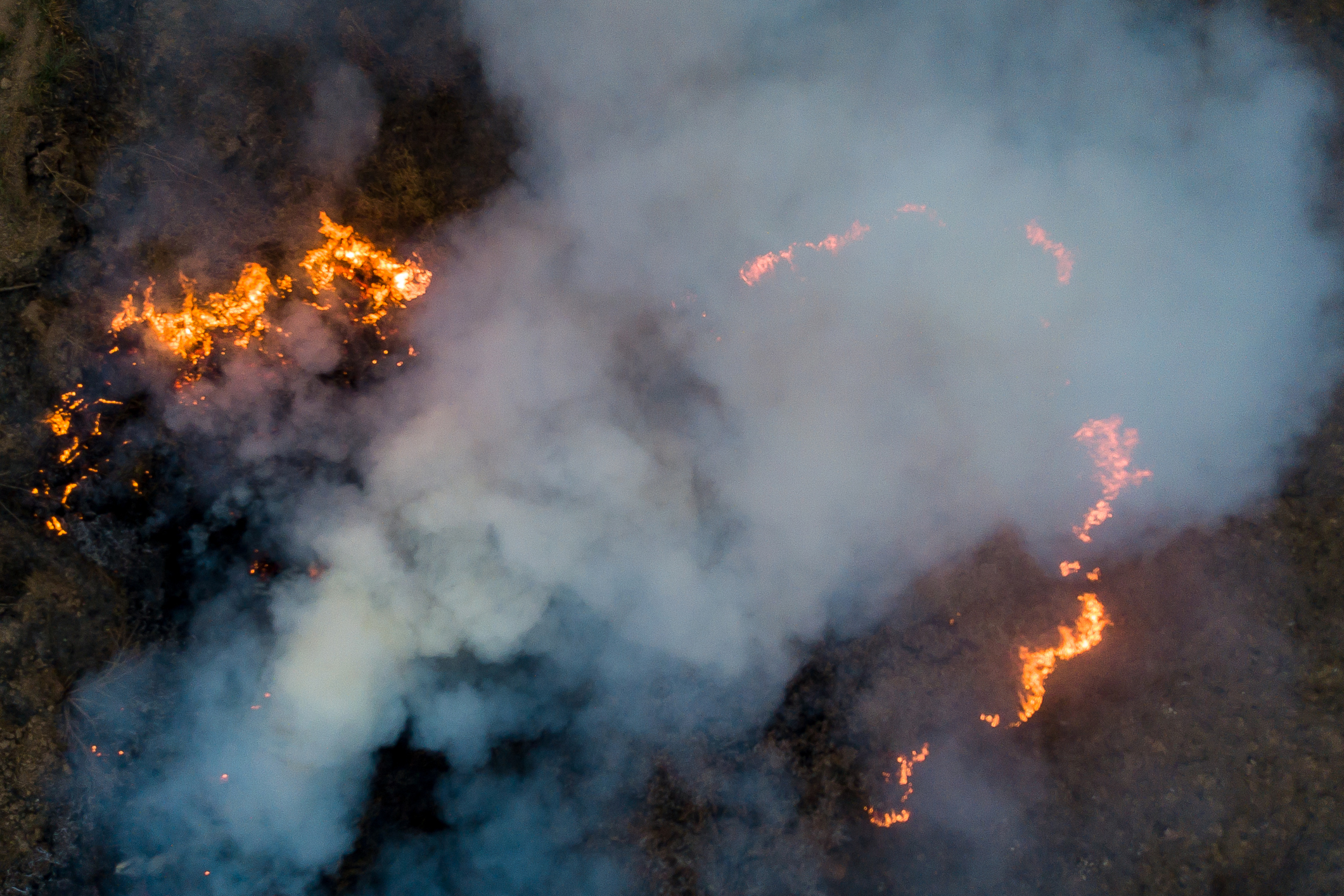 Aerial view of forest fire