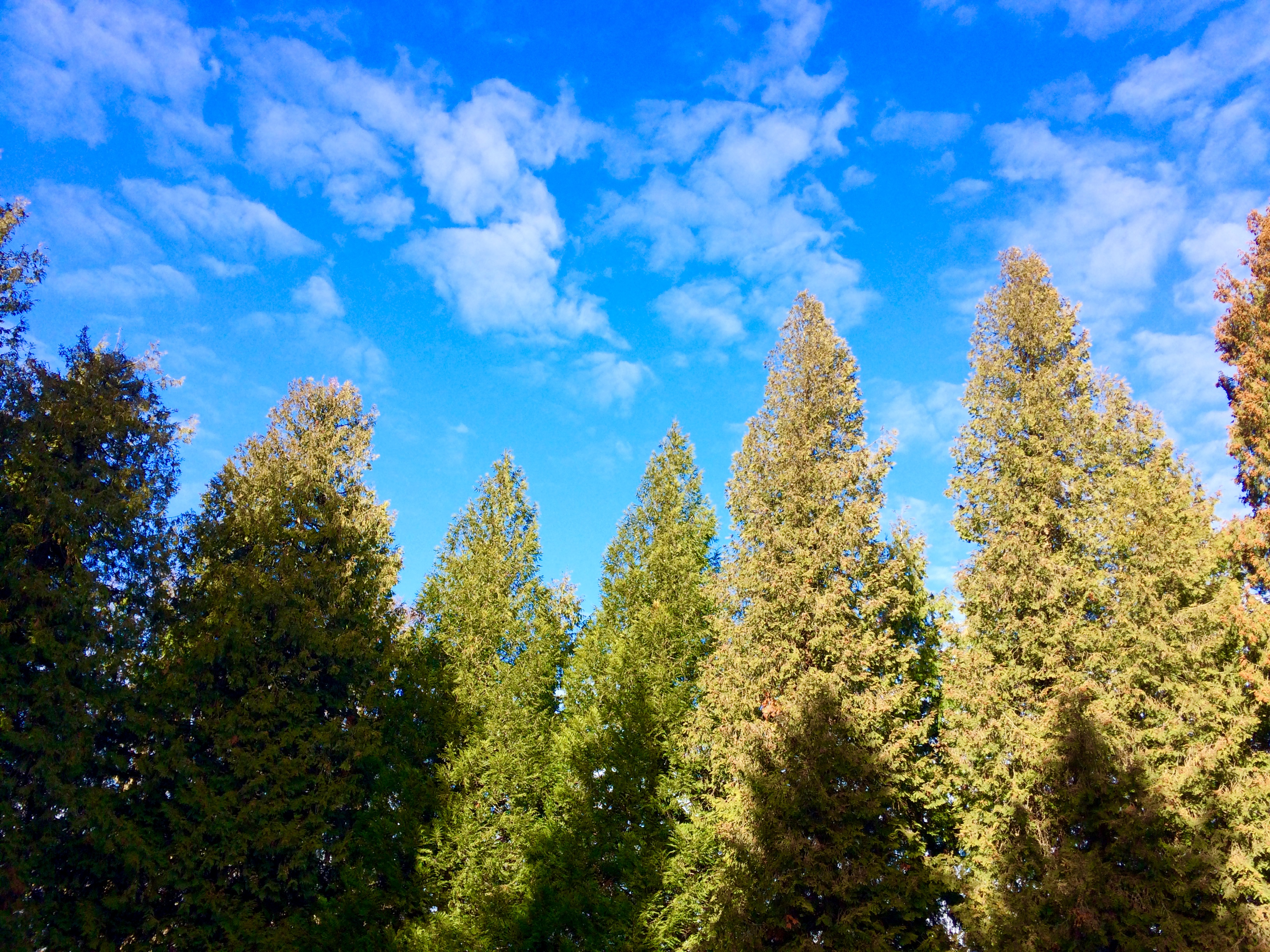 Blue skies!