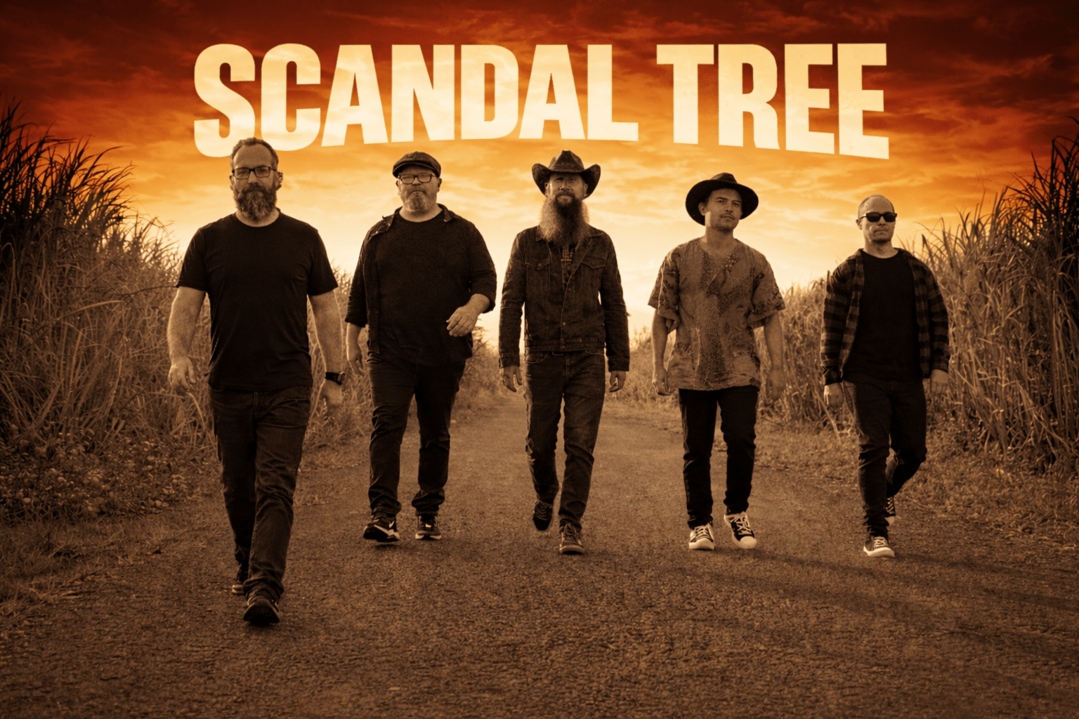 Read more about the article Interview with Scandal Tree