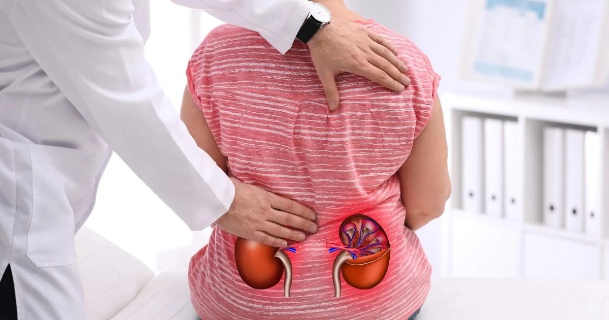 kidney-function-test-early-detection
