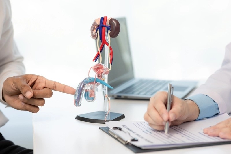 Paciente apontando para protótipo de prostata em cima de mesa de médico