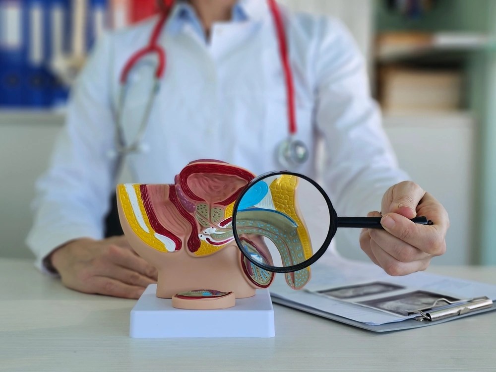 Médico usando lupa em modelo anatômico de pênis