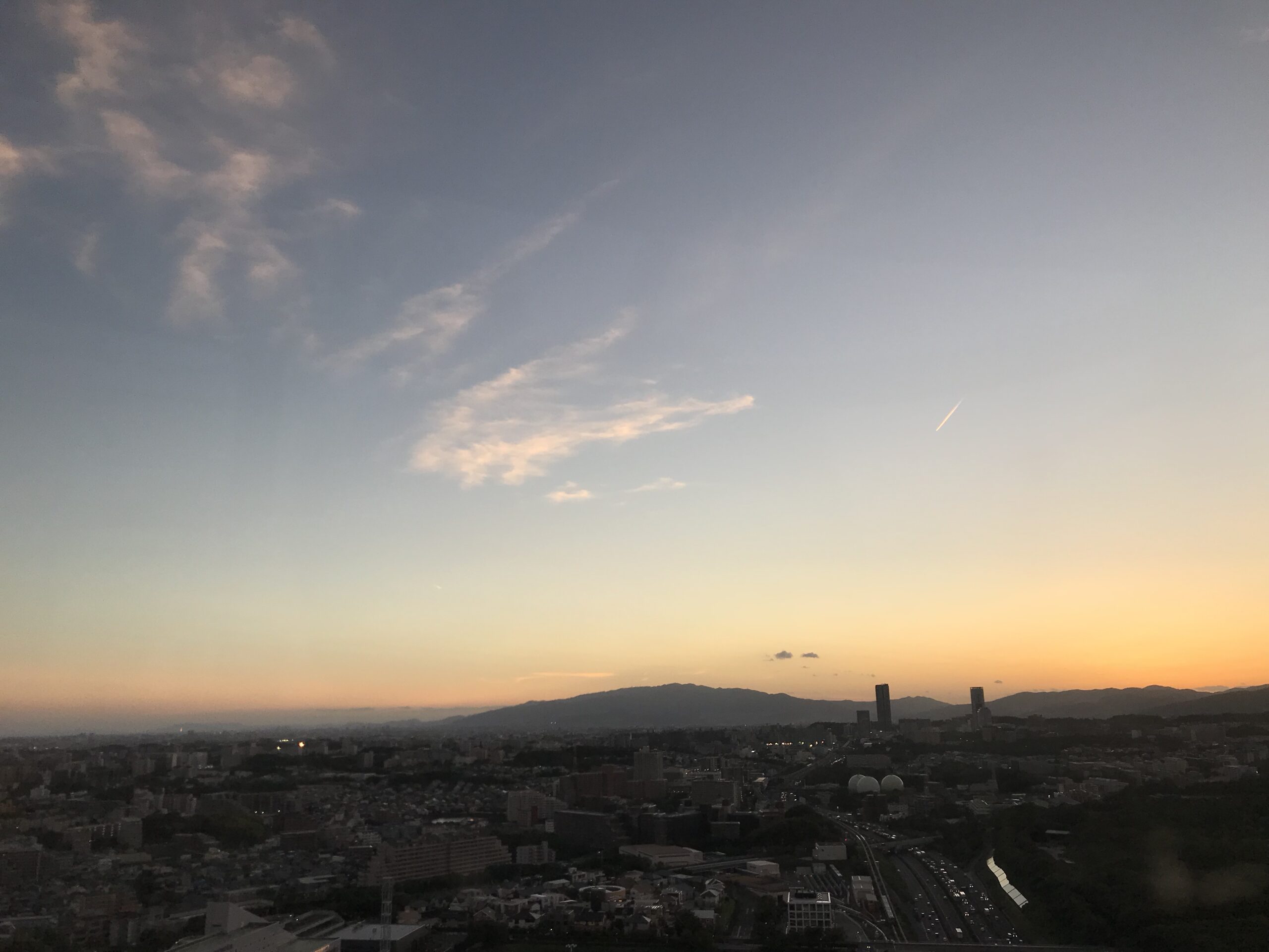 Causes of Subluxations