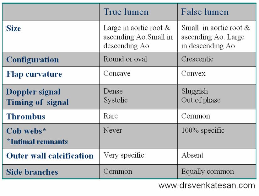 The Aortic Dissection What You Wanted To Know About True And False Lumen Dr S Venkatesan MD