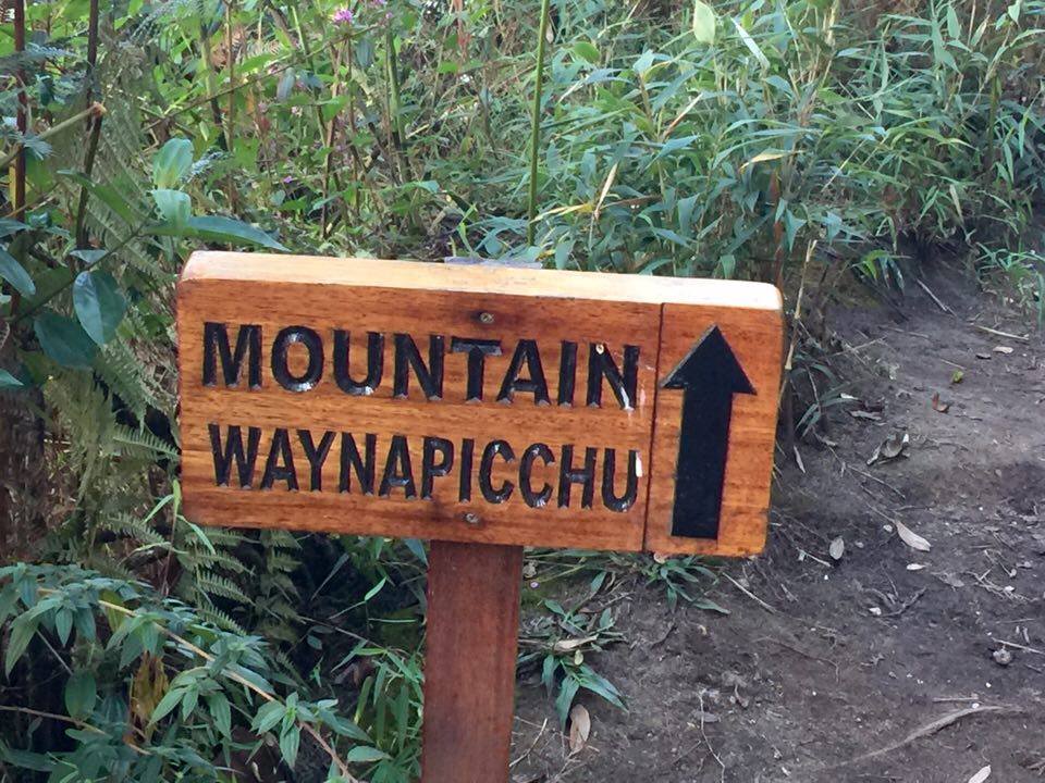 Mount 1