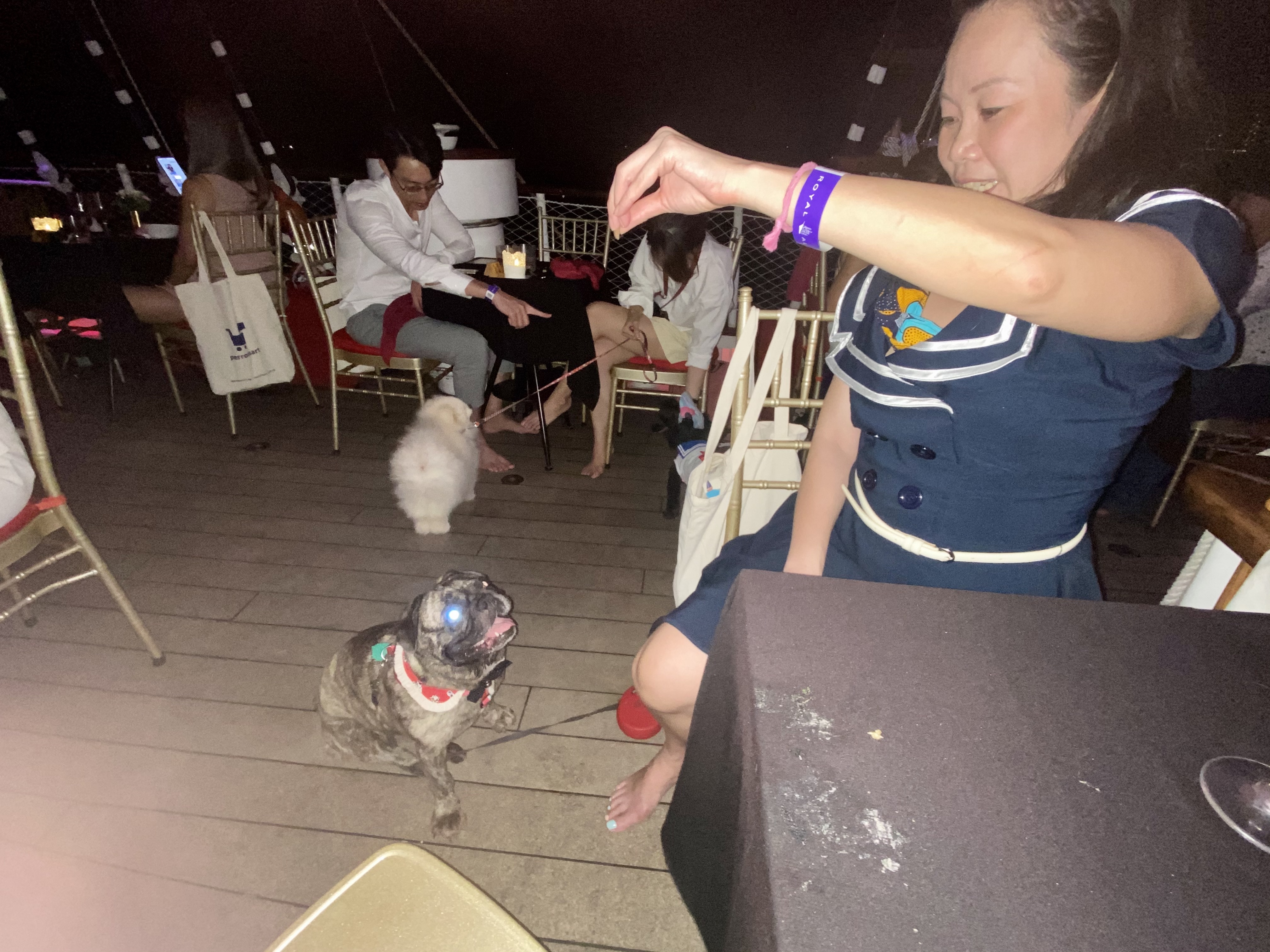 Anna bribing her to stop her begging to other passengers