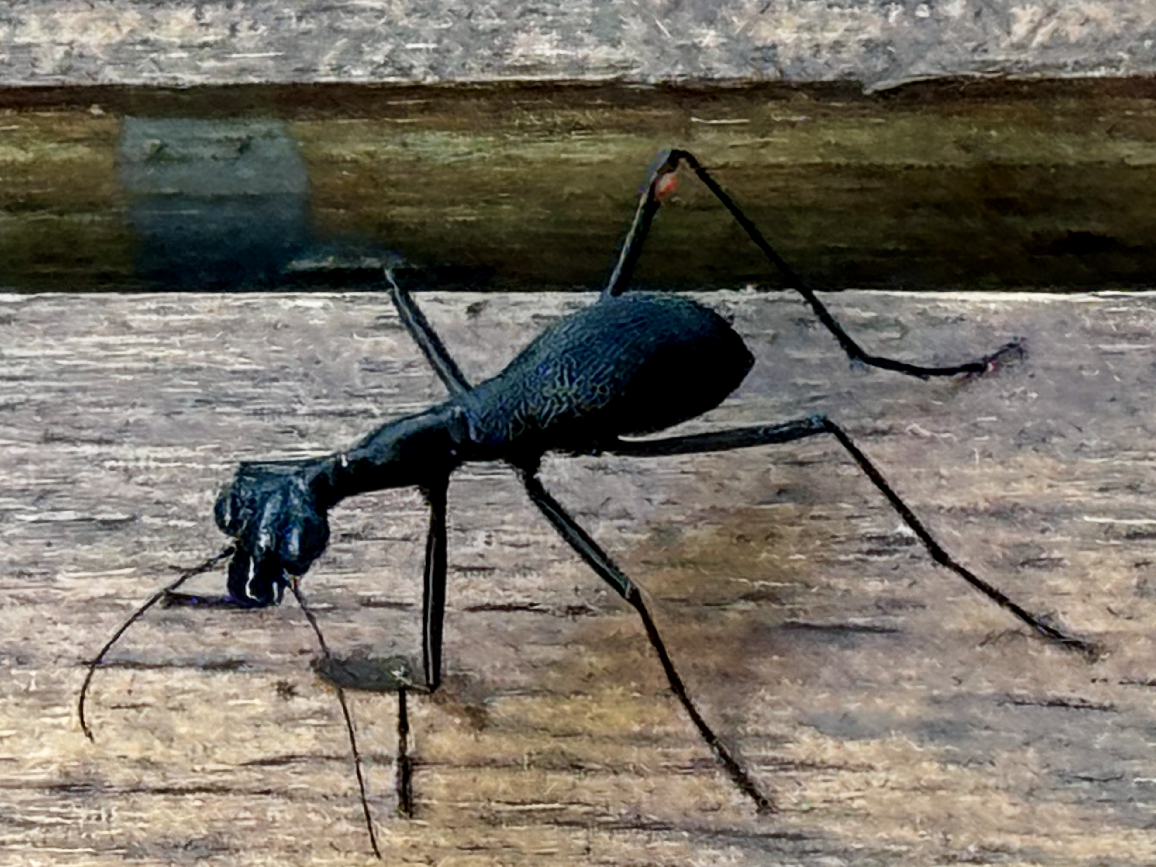 That's a huge bug!