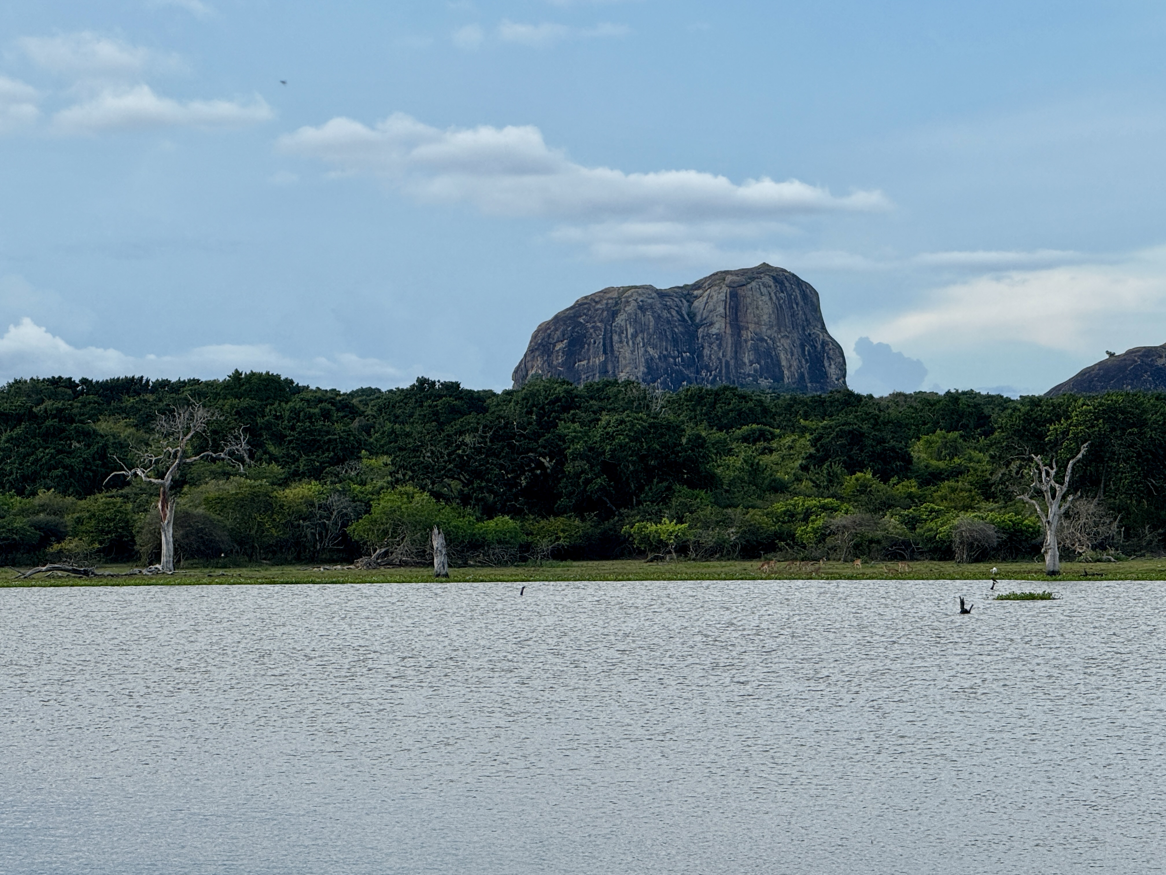 The wonderful scenery with deer grazing in the distance