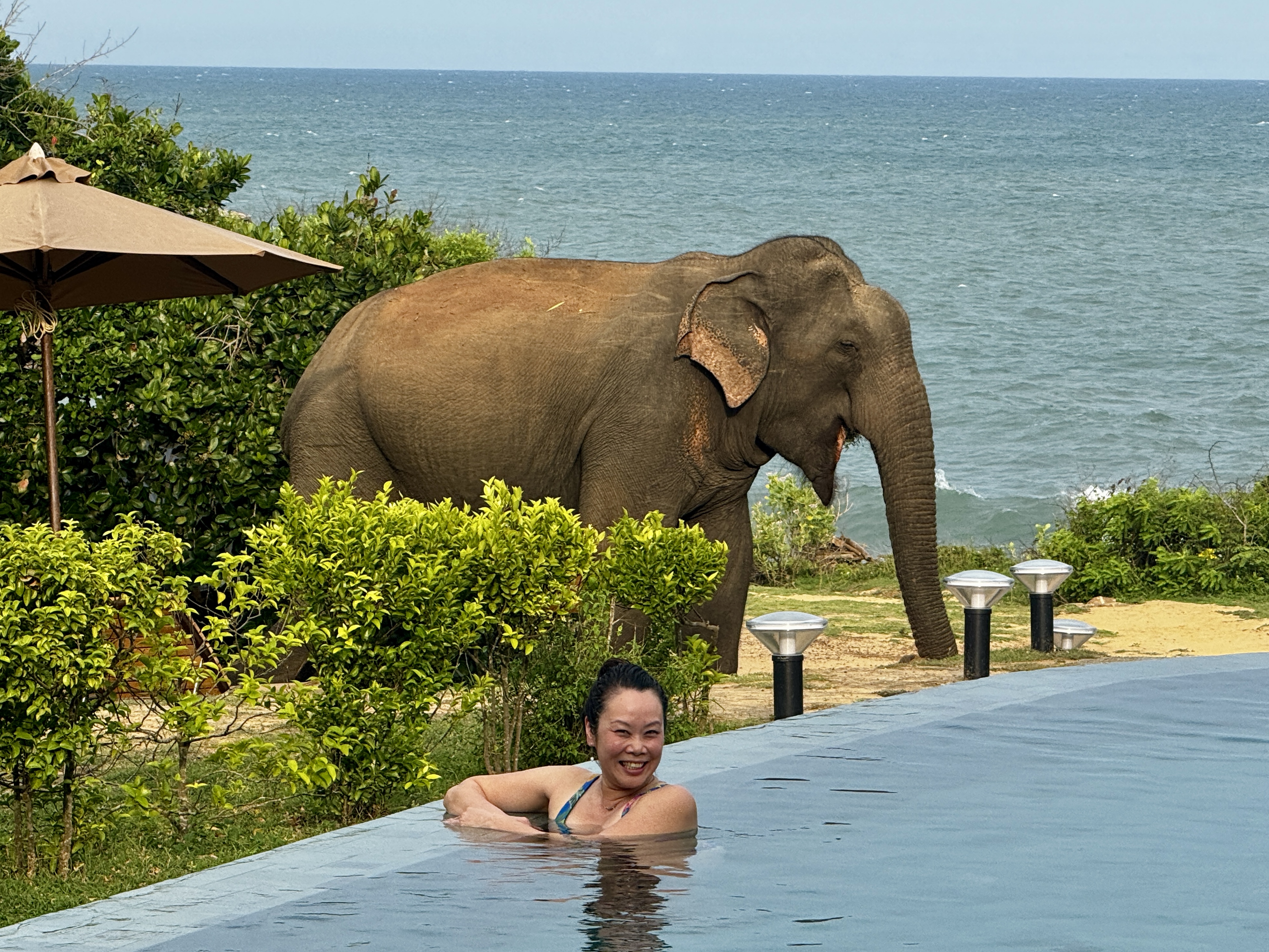 Anna making the most of the situation