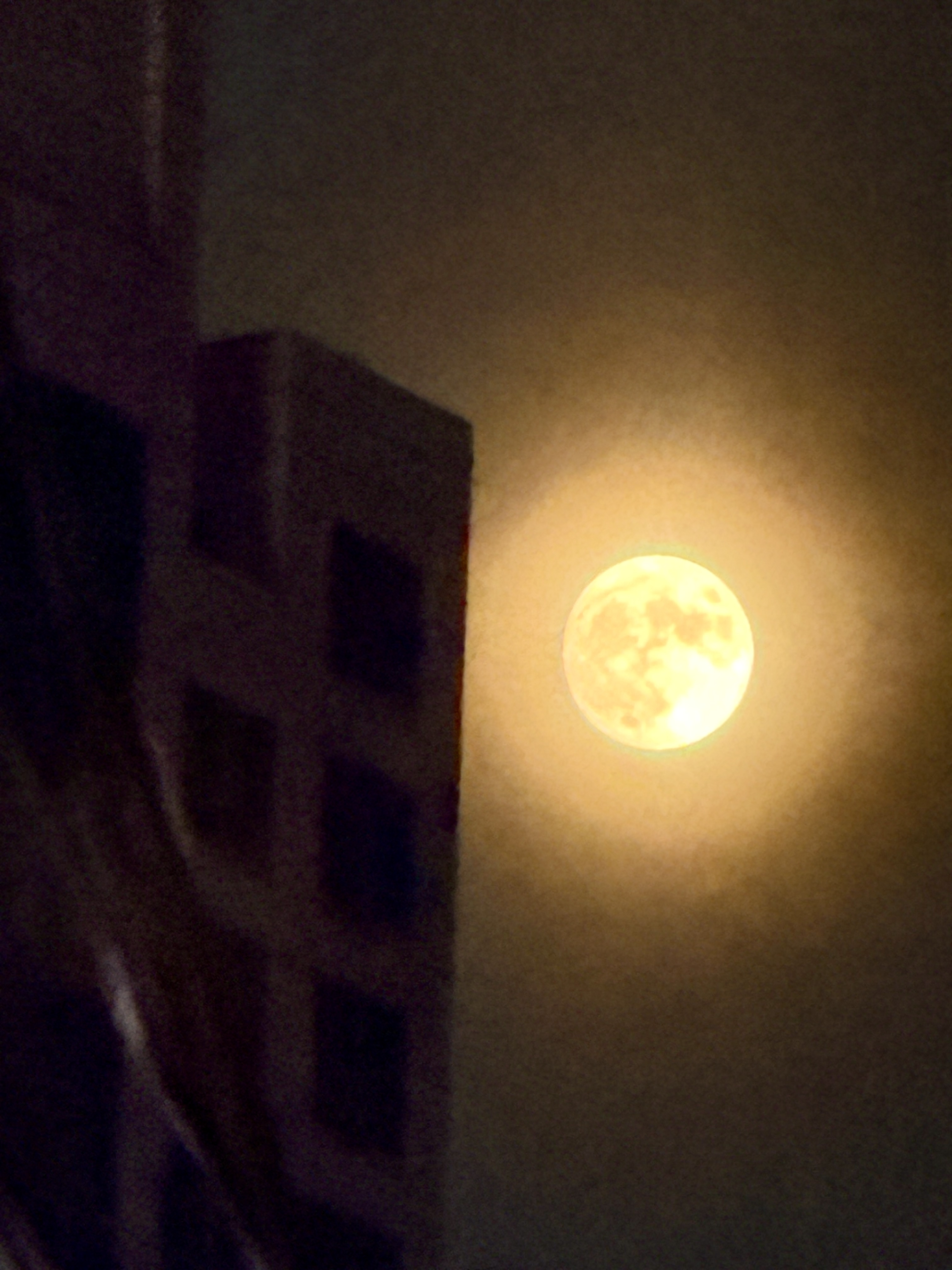 The moon was bright that night!
