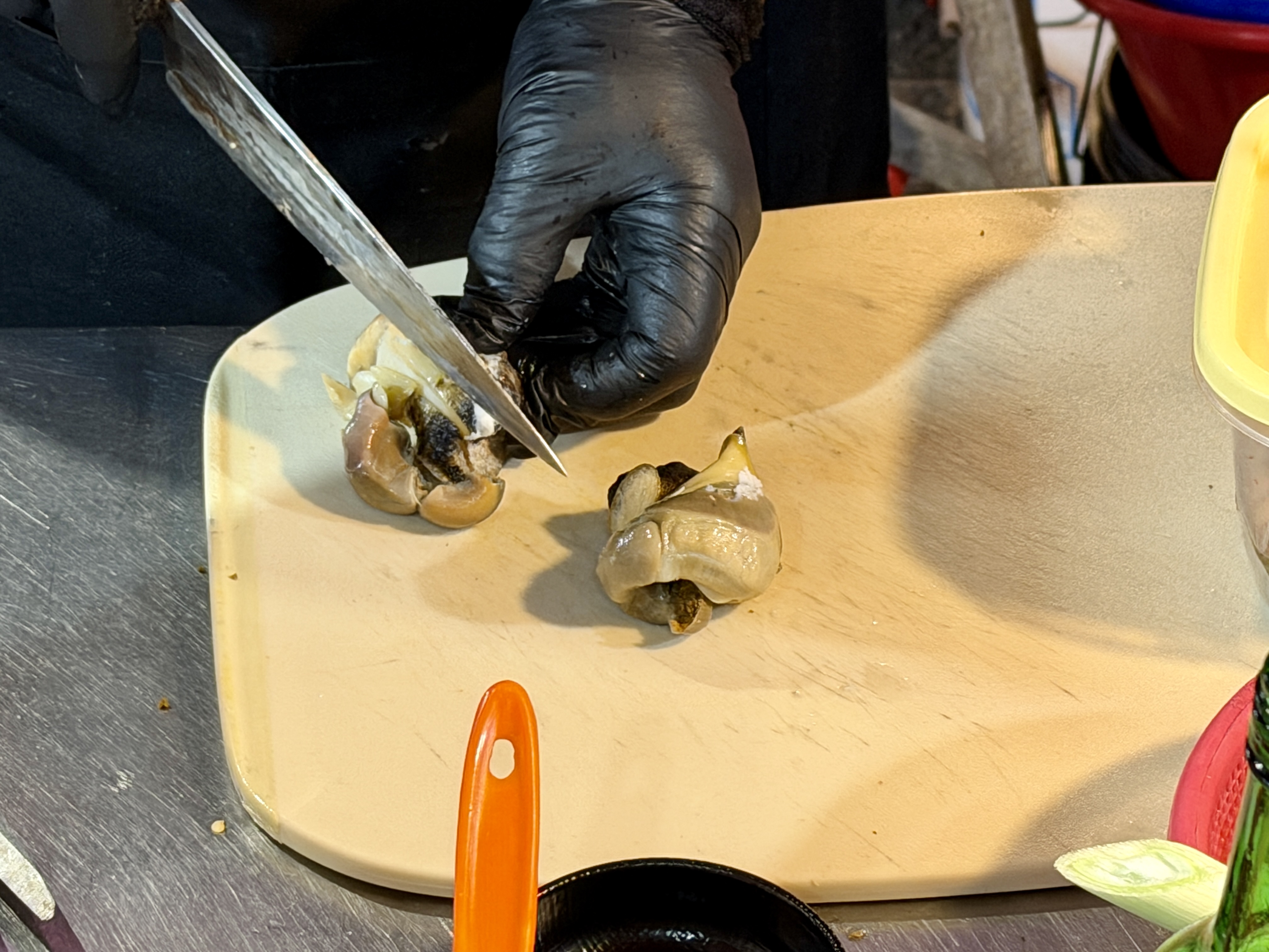 Preparing some conches