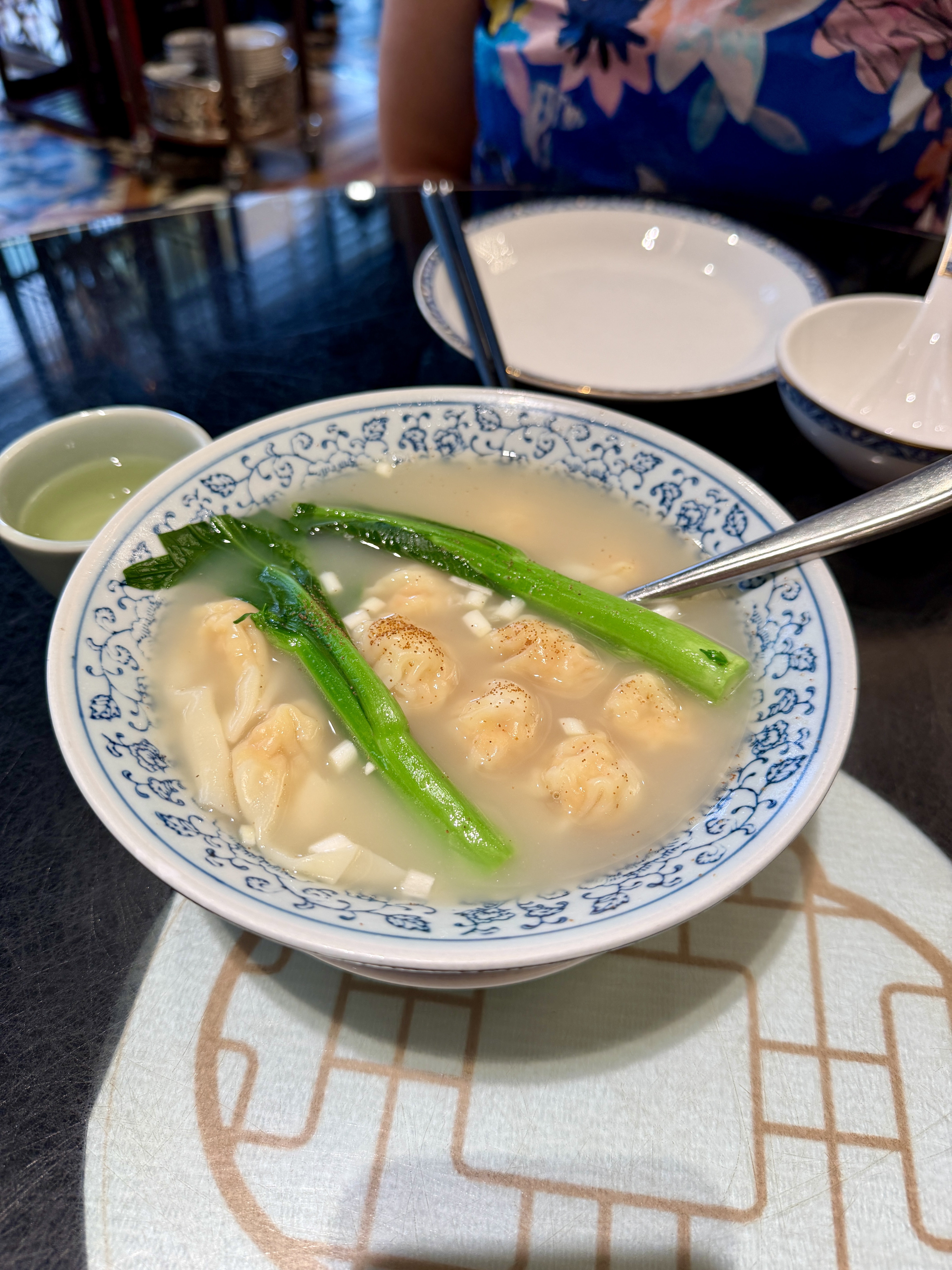 Dumpling soup
