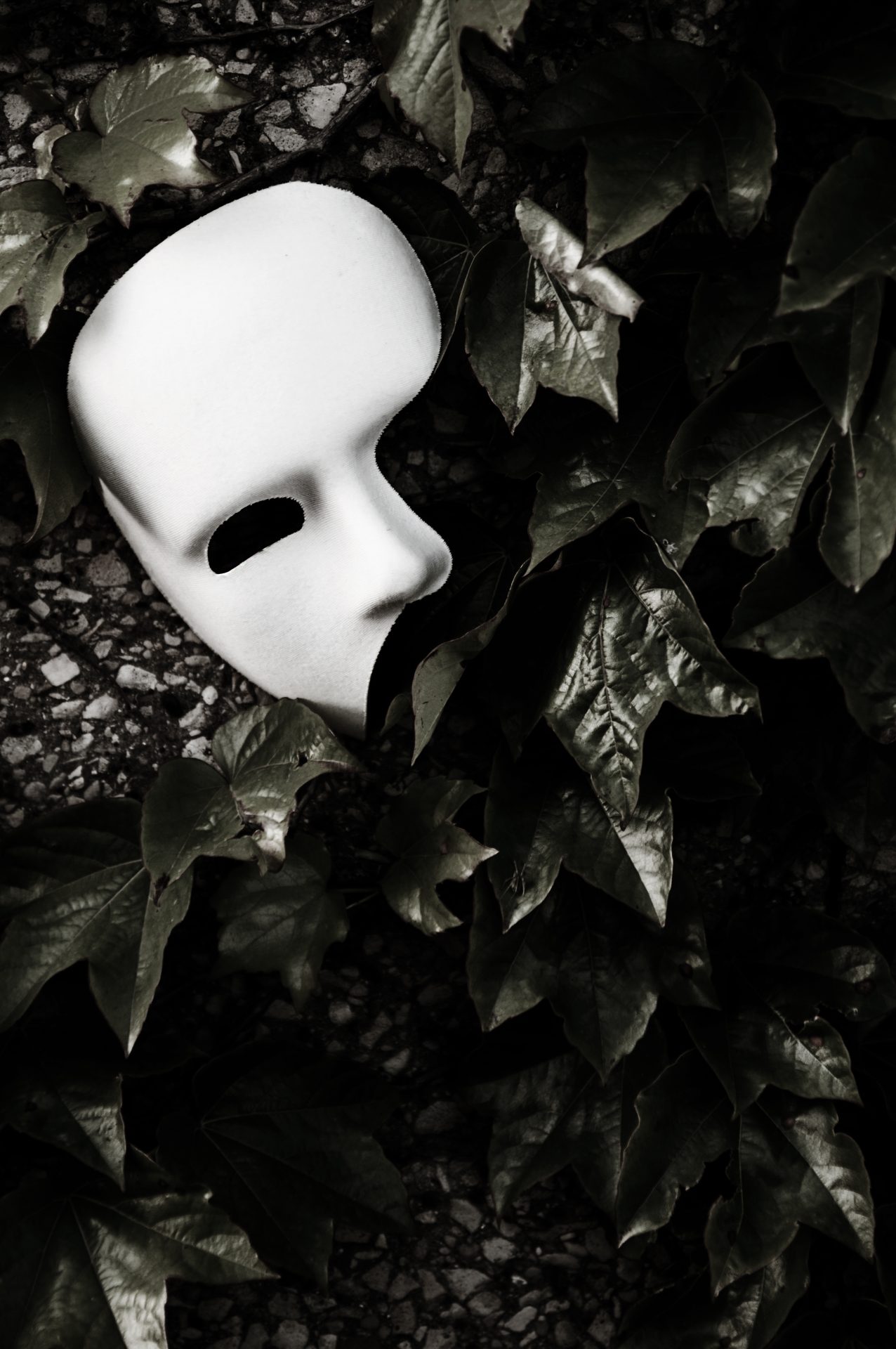 Masquerade - Phantom of the Opera Mask on Ivy Wall