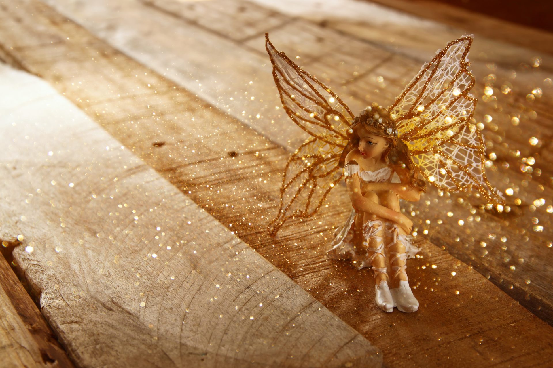 image of magical little fairy in the forest . vintage filtered
