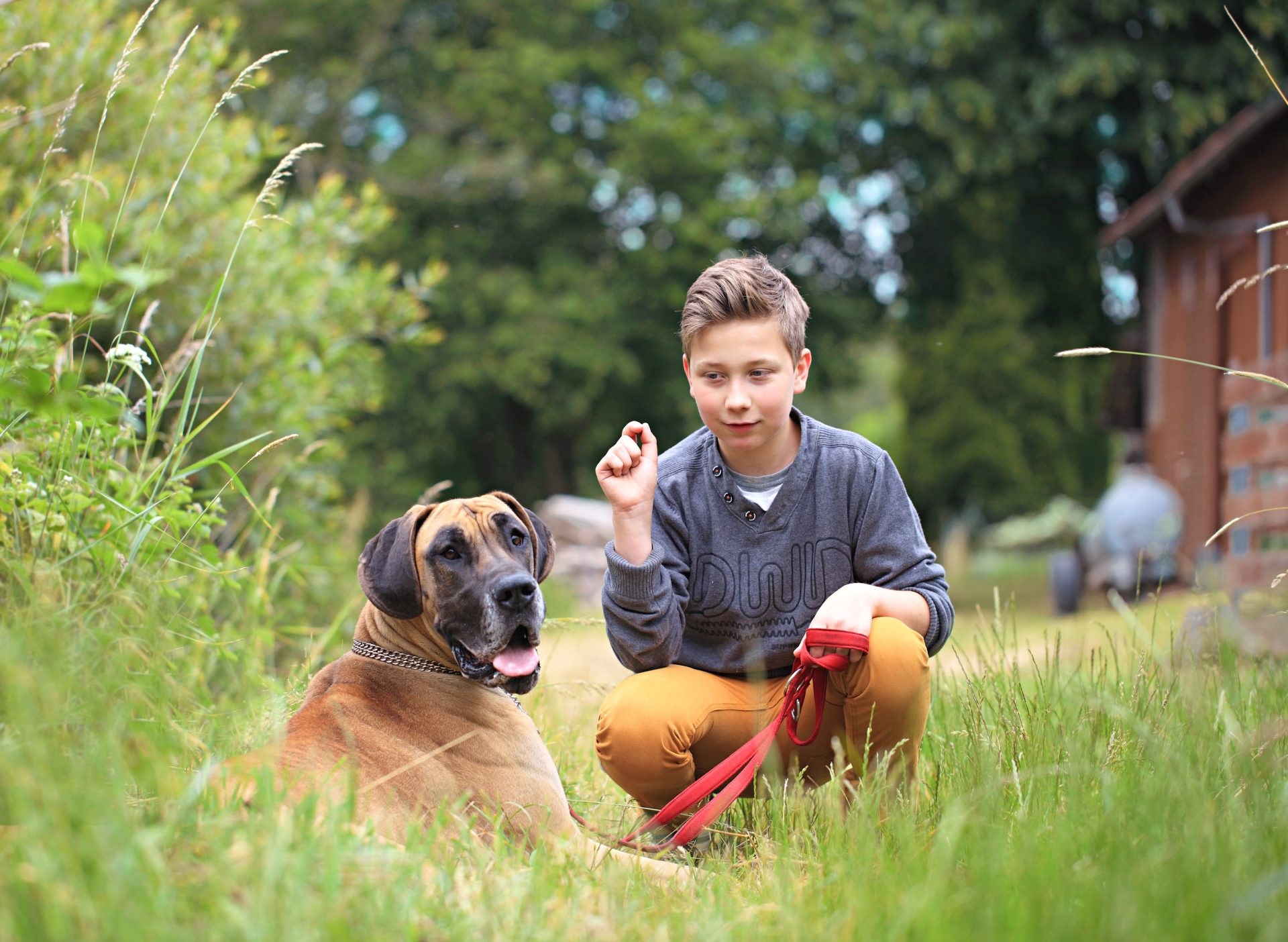 Practical Parenting: Children, Animals, & Initial Lessons in Responsibility