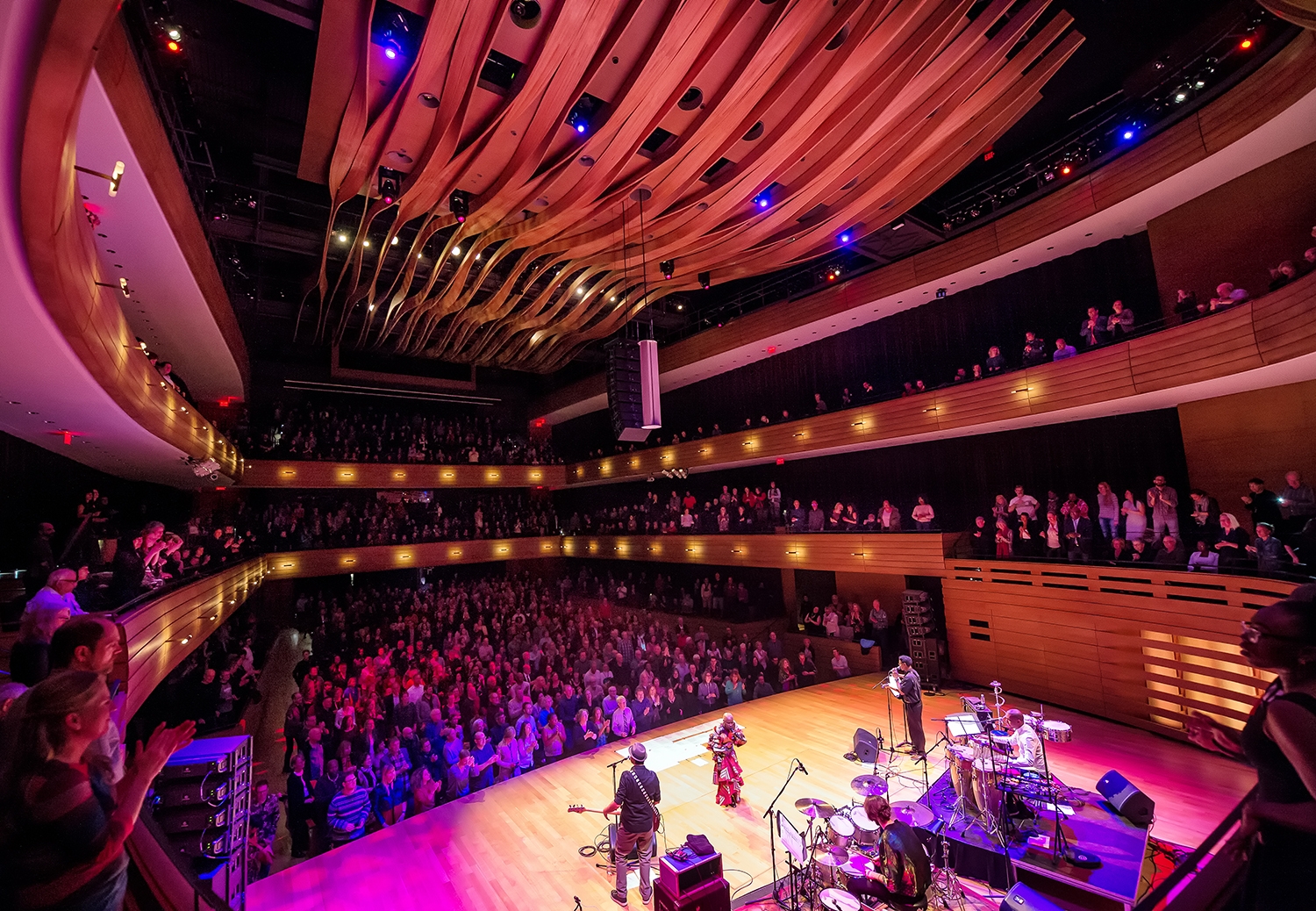 Band Performing Live