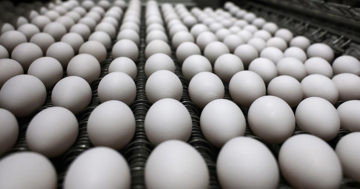 As egg prices soar, Trump administration targets California law and H5N1 bird flu
