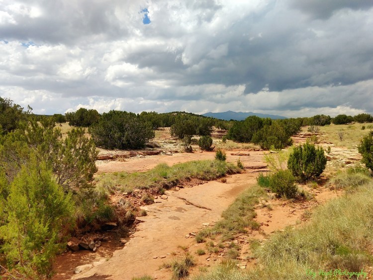 Salinas Pueblo Missions National Monument, ruins at Abo.