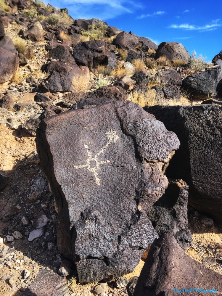 Most of the petroglyphs of Boca Negra Canyon are between 400 and 700 years old but some are as old as 1000 years. Boca Negra Canyon should be high on your list of "must see" things to do in Albuquerque, New Mexico.