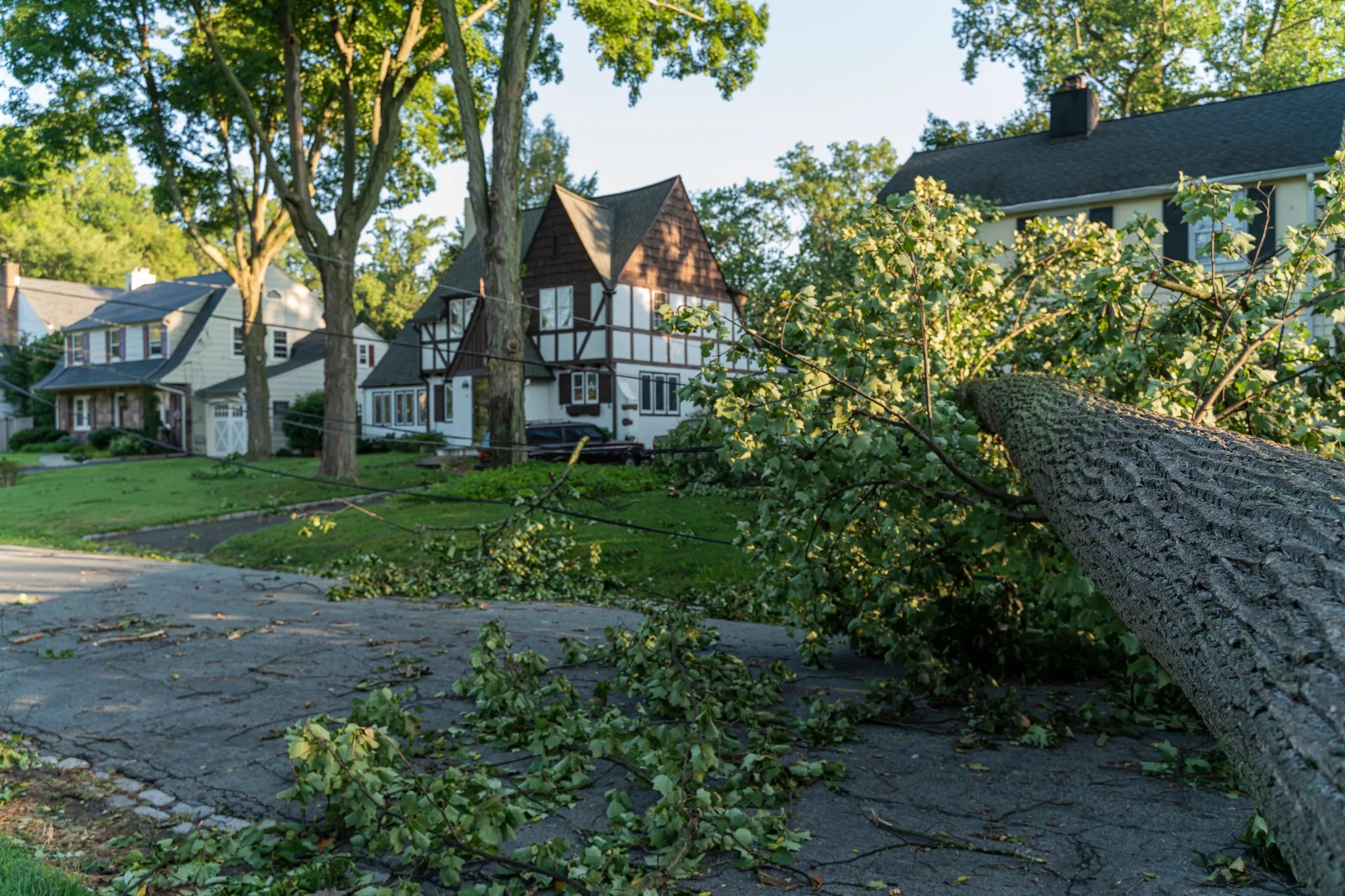 Storm damage: a fallen tree on a Metro Detroit home