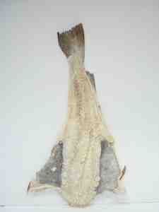 Salted Cod : tasty ethnic seafood – Northern Fish Codfish