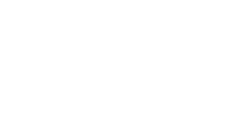 Data Science & Analytics Logo