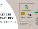 How To Generate A Private Key From A Csr Certificate Using Microsoft Iis