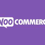 WooCommerce USPS Shipping WordPress Plugin