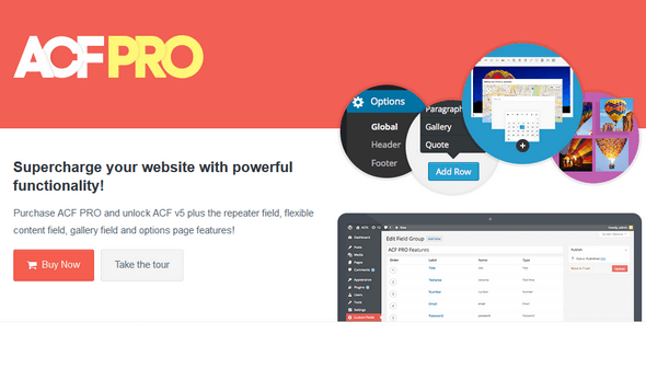Advanced Custom Fields Pro WordPress Plugin – Nulled Download_669b6bf5b6e34.png