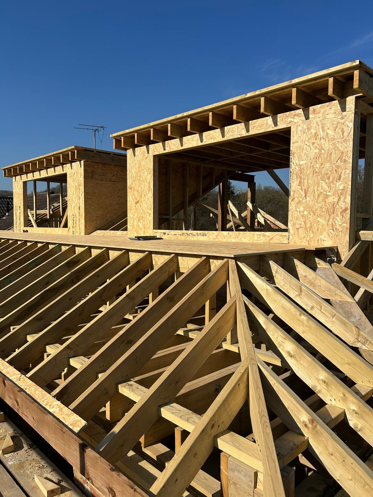 Timber framing and roof joists in sunlight