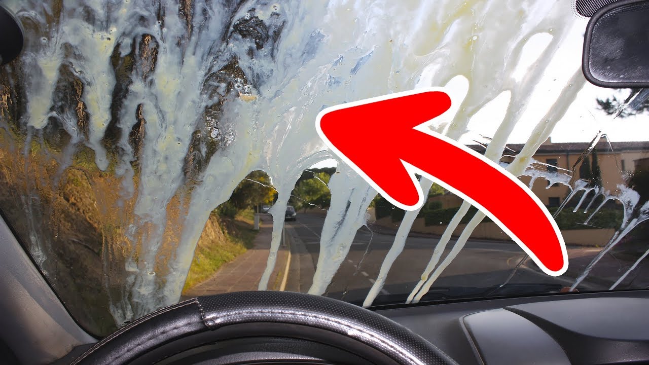 Windshield Egg Mixture Technique Resurfaces Again…