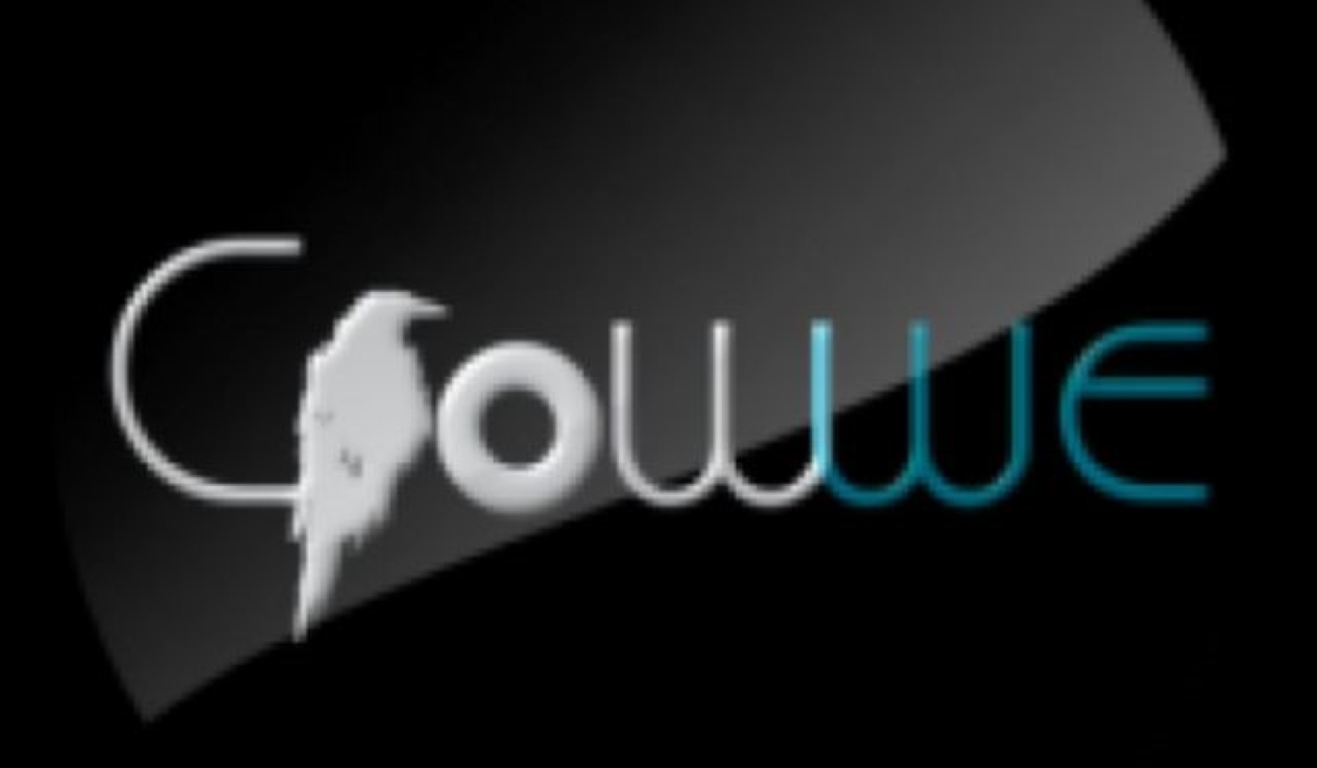 Is Adamu Garba's Crowwe First Social Networking Platform in Africa as Claimed?