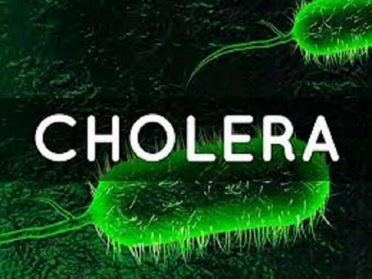 Cholera: Symptoms, causes, prevention, and treatment as cases rise in Cross River