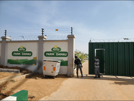 Kaduna farmers wait endlessly as N10bn dairy project abandoned; govt unable to provide answers