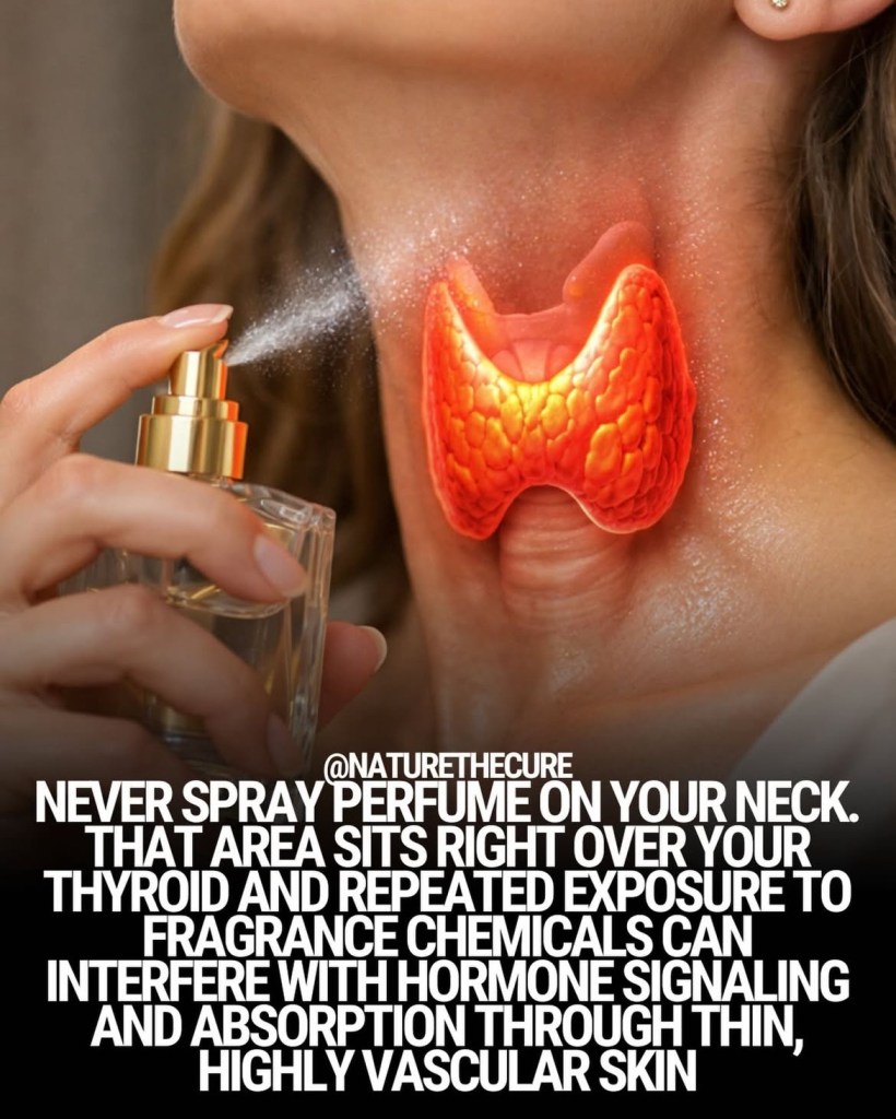 Applying perfume on your neck does not alter thyroid function, as claimed 