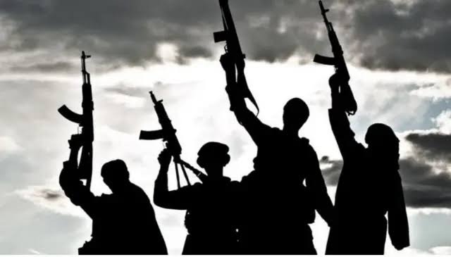 Viral video of armed convoy not from Nigeria