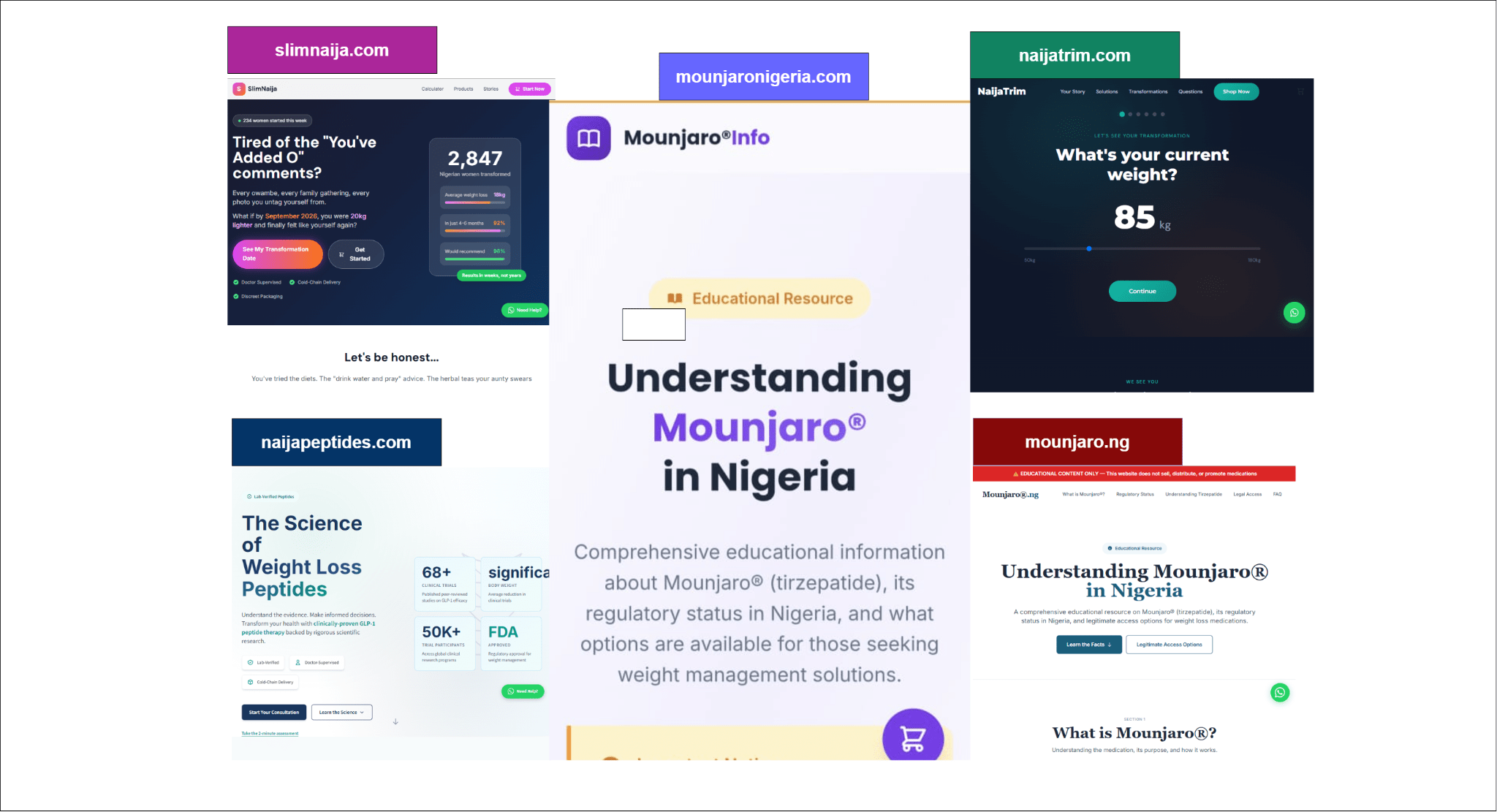 How social media, anonymous websites fuel Nigeria's unregulated weight-loss injection market