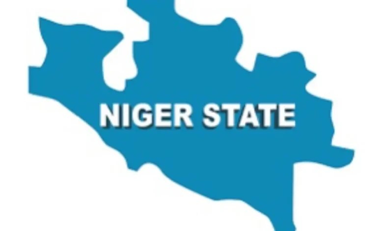 False! Video does not show Nigerian forces engaging armed men at Rijau Hill, Niger State