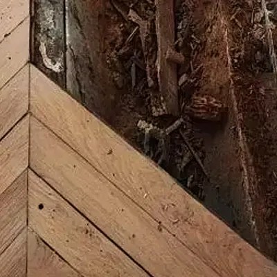 Traitement anti insecte parquet