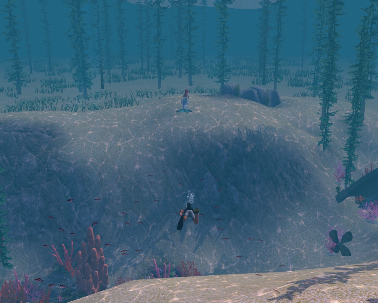 Following a mermaid underwater